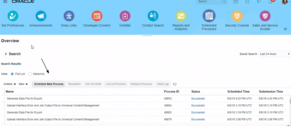 Image shows BI Publisher with Schedule New Process selected.