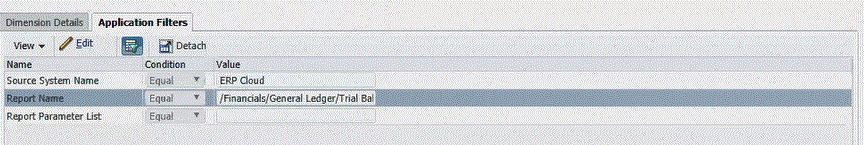Image shows the Report Name field on the Application Filters screen.