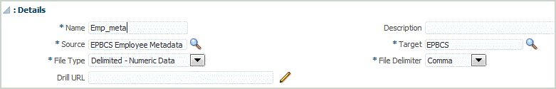 Image shows the Details section of the Import Format screen.