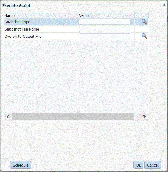 Image shows Execute Script page.