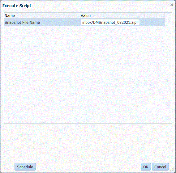 Image shows the Execute Script page.