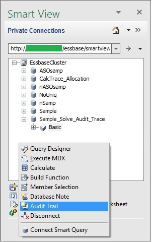 Smart View Panel for a private connection showing the Basic database selected. In the Action Panel, the "More" item was selected to reveal more menu item choices in a popup context menu. The Audit Trail menu item is highlighted.