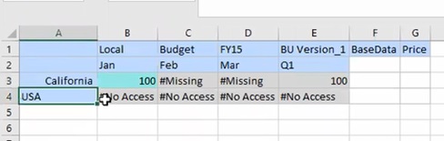 Smart View ad hoc grid with the USA member showing #NoAccess cells Smart View ad hoc grid with the USA member showing #NoAccess cells