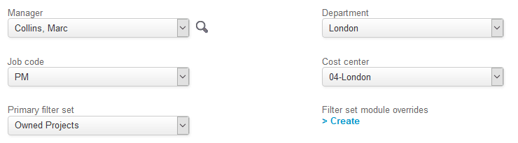 Primary filter set and Filter set module overrides oprtions on the Employee demographic form.
