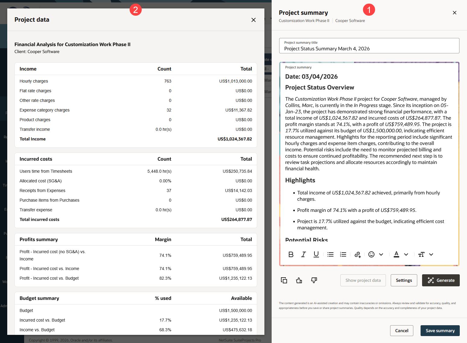 Generated project summary and input project data side by side.