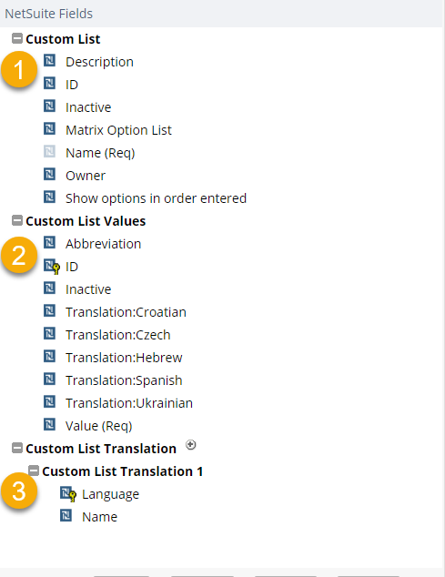 NetSuite Fields section.