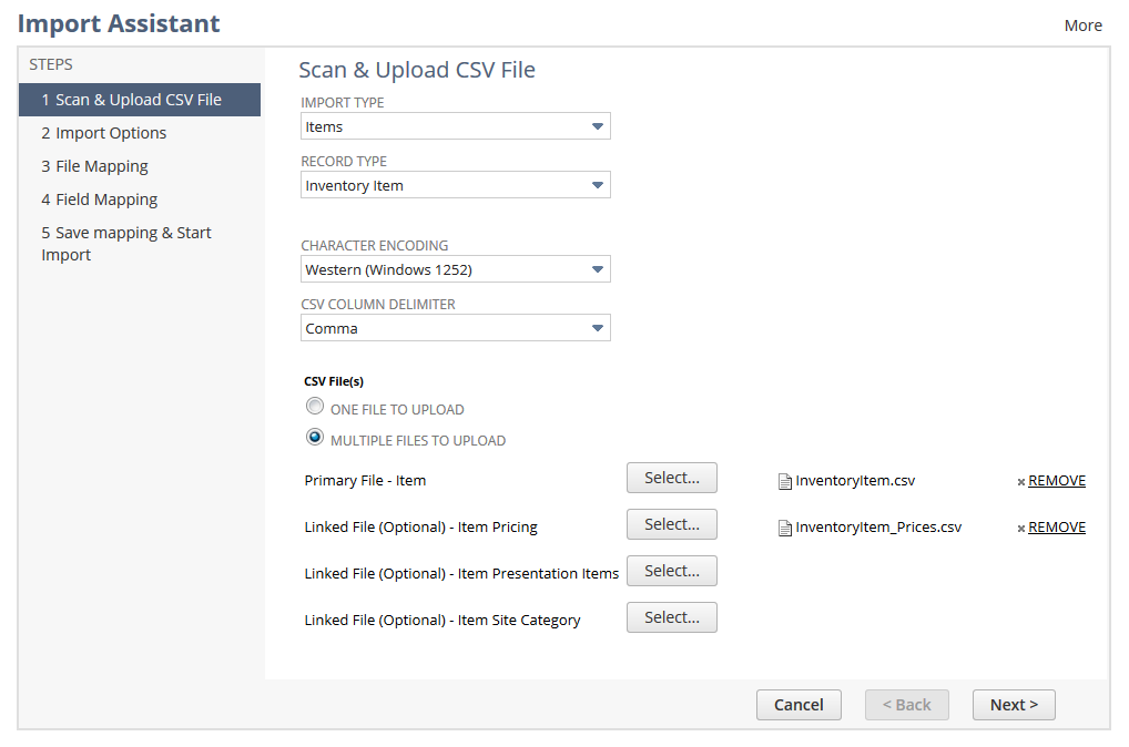 Example of a multiple files import in Step 1.