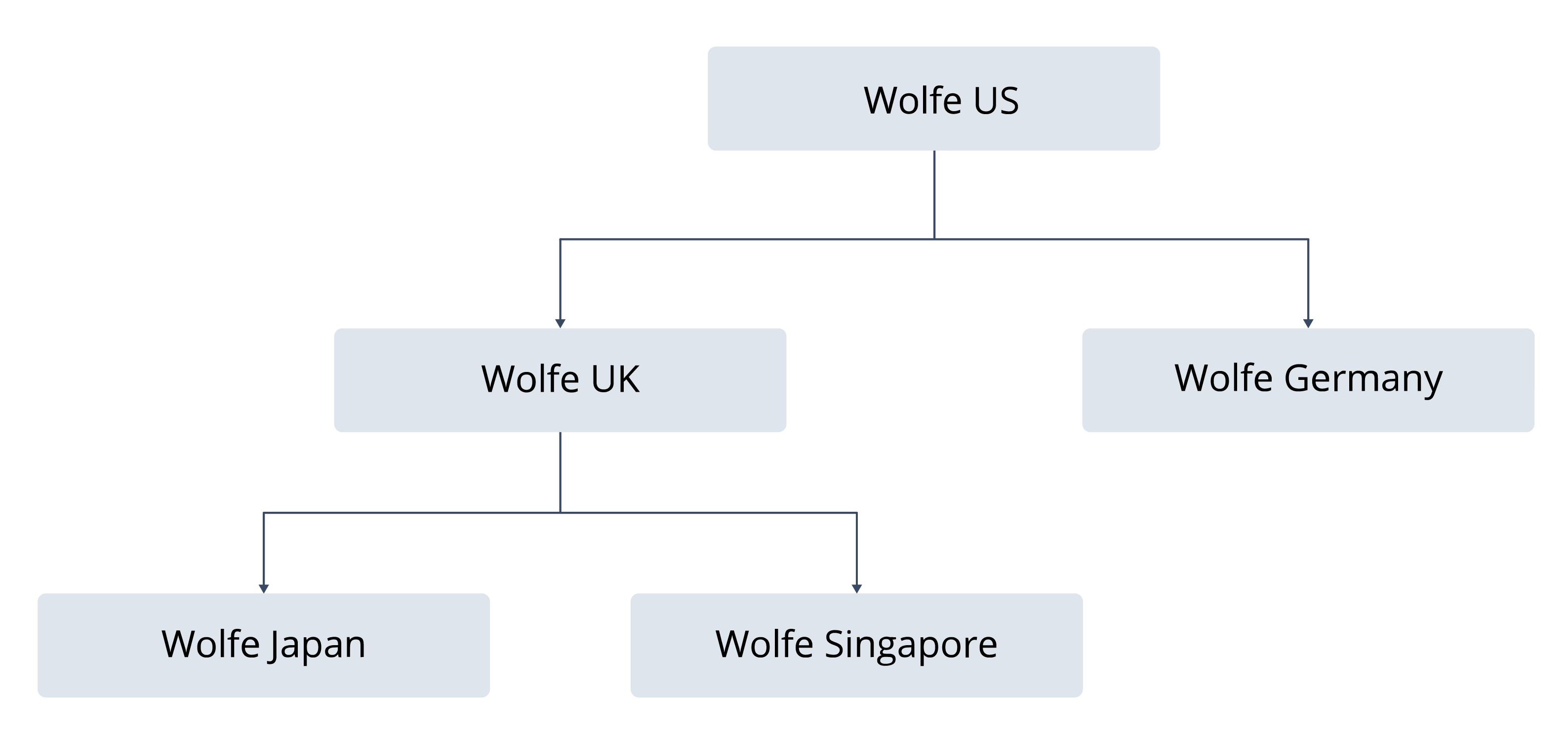 Diagram of subsidiary context specific to reporting.