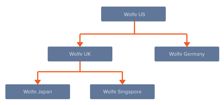 Diagram of sample subsidiary hierarchy to show how balances roll up to the consolidated parent using the appropriate consolidated exchange rate