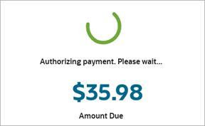 Payment processing message