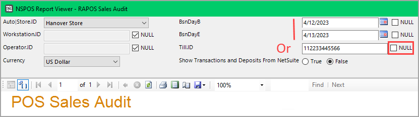 Filter options for Sales Audit report
