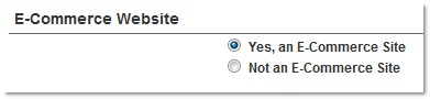 Shows the Yes, an E-Commerce Site radio button in the website profile.