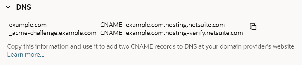 Example of CNAME records on NetSuite Domain record page