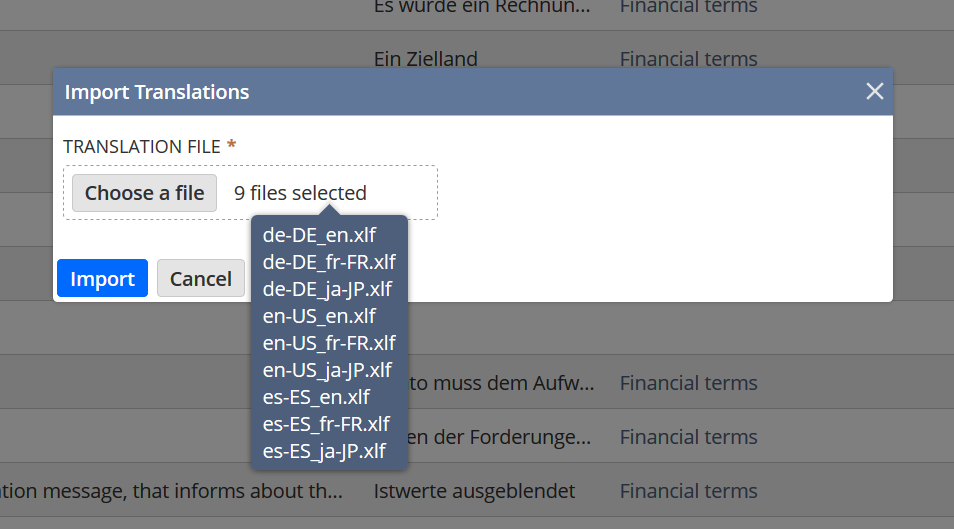 Import files with display names on the Import Translations popup window.