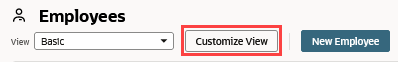 Customize View button on record list page.