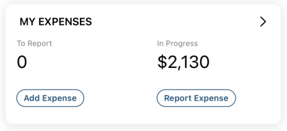 NetSuite for iOS My Expenses portlet