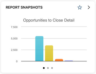 Screenshot of the NetSuite for iOS Report Snapshot portlet