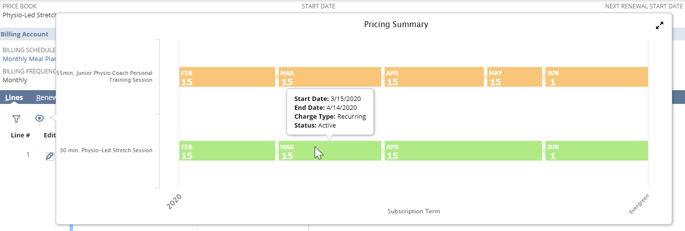 Pricing Summary showing two subscription lines (example).