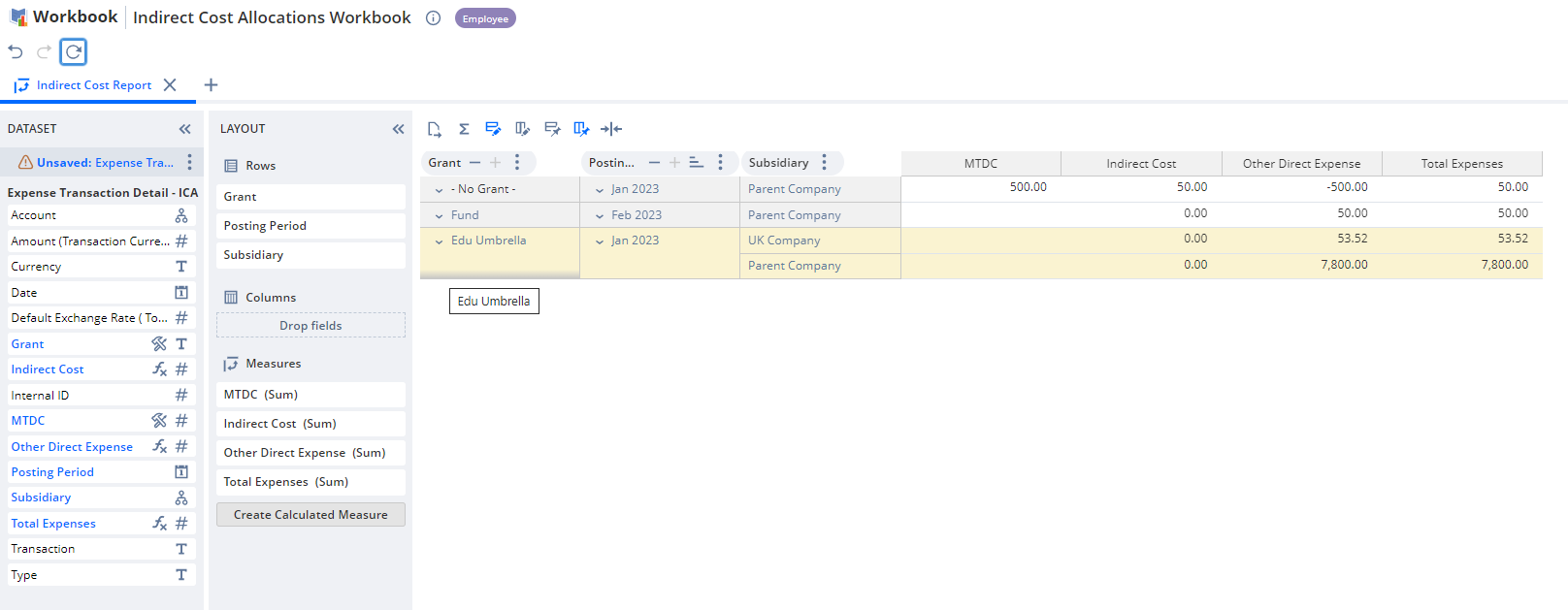 A preview of the Workbook showing ICA transactions grouped according to grant, posting period and subsidiary