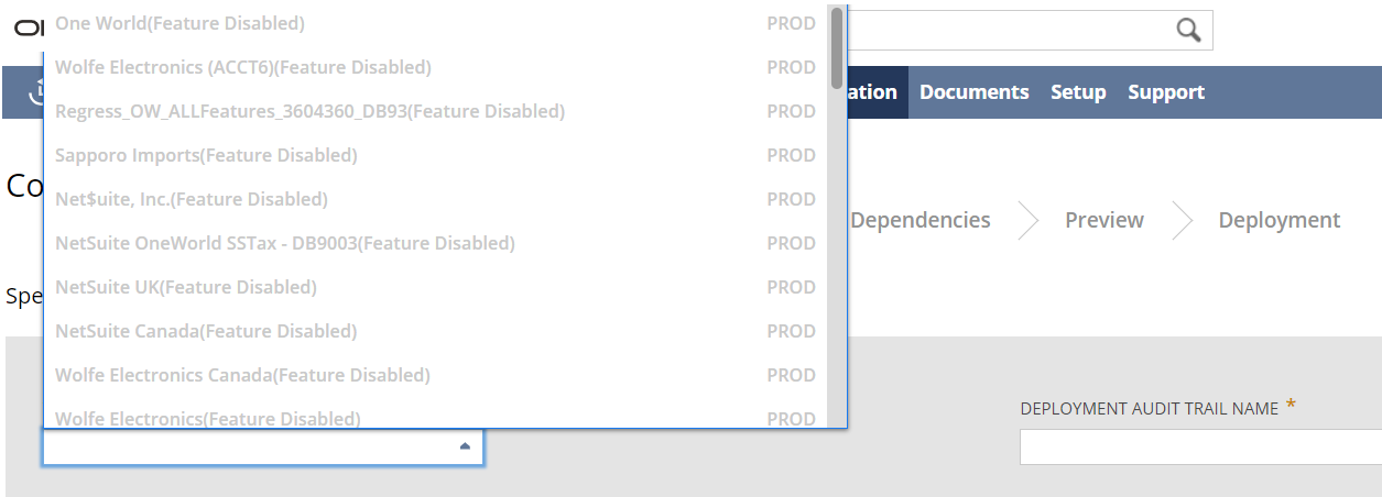 Setting Up Copy to Account section of the Copy to Account Overview page