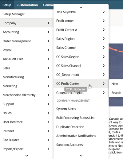 Sample custom segment on menu.