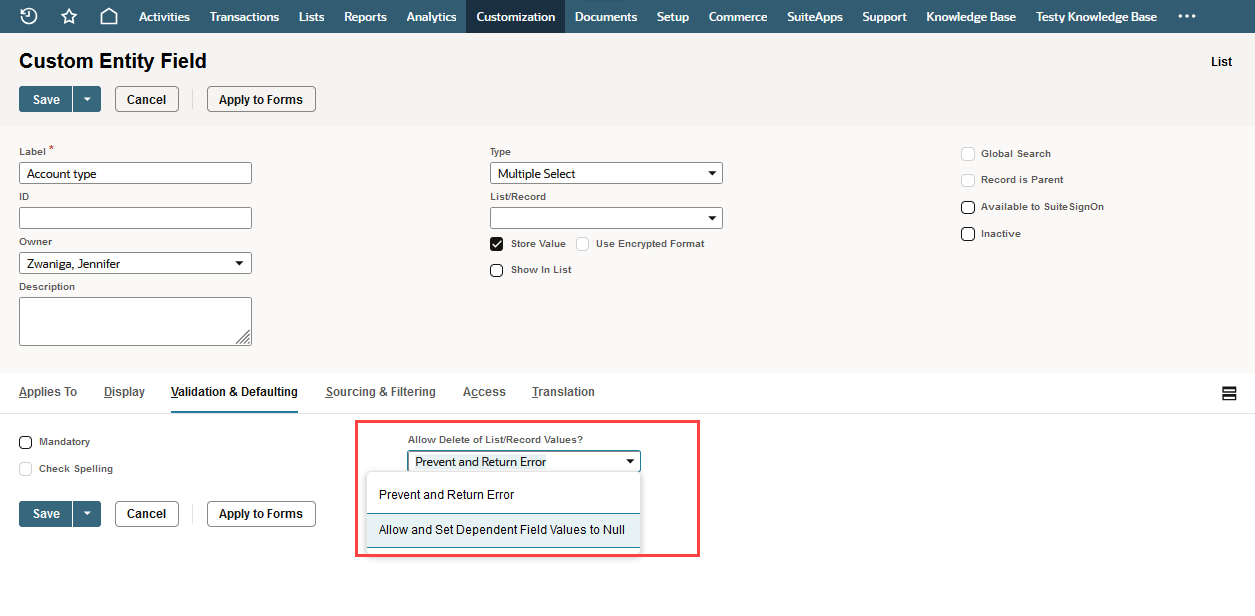 Custom Entity Field Validation & Defaulting subtab showing deletion setting