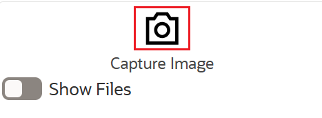 Capture image icon