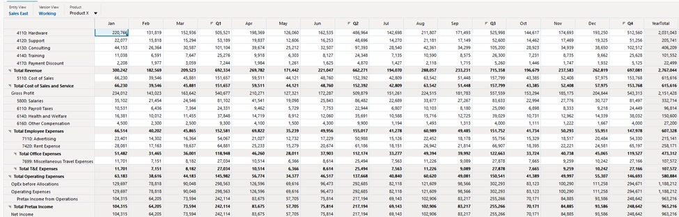 Image showing Web cell styles applied to a Web runtime data grid