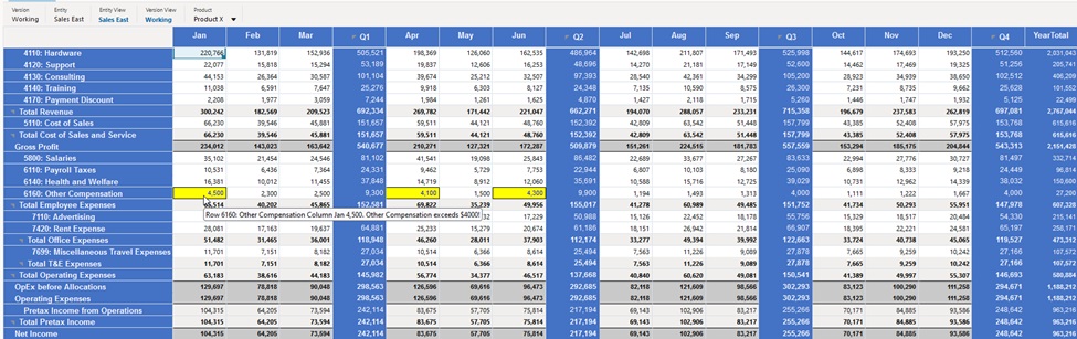 Image showing a Web runtime grid with both data validation and format rules applied