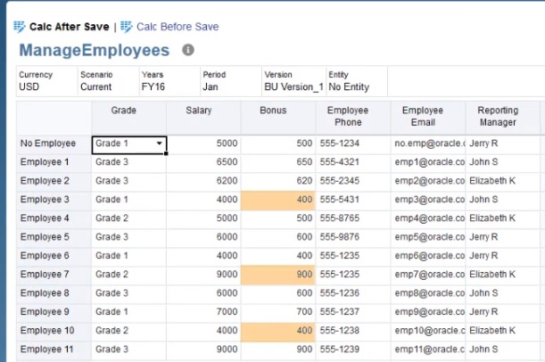 Groovy Rule Calculated Bonus Data on Form