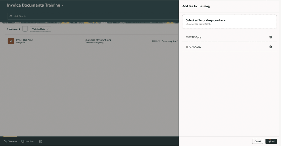 The Invoice Document Training Experience