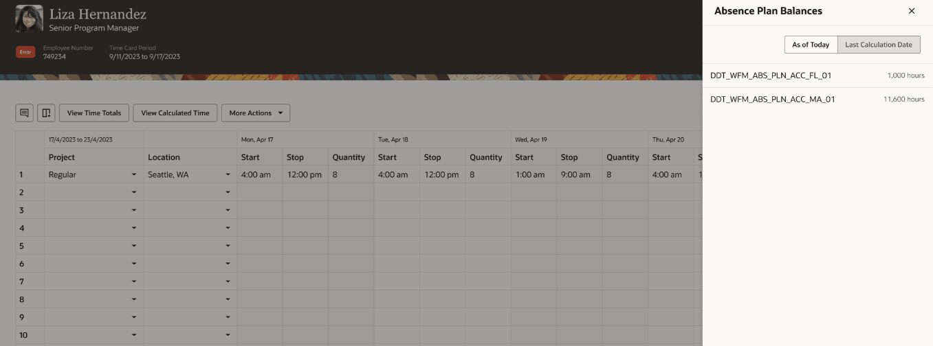 Screen capture of the Absence balances on a time card.