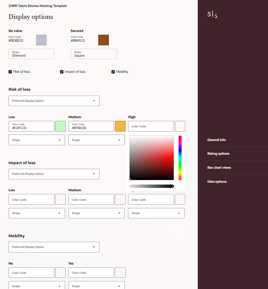 Display Options tab with a color picker for a rating level