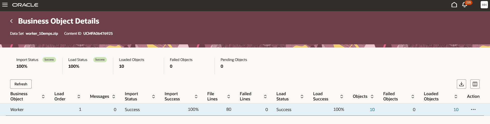 Business Object Details page
