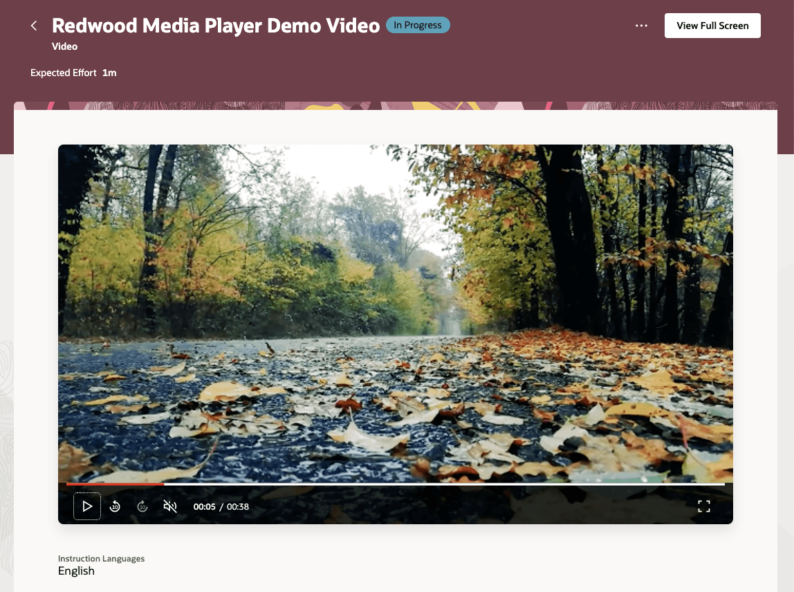 Redwood Video Player as Shown to a Learner