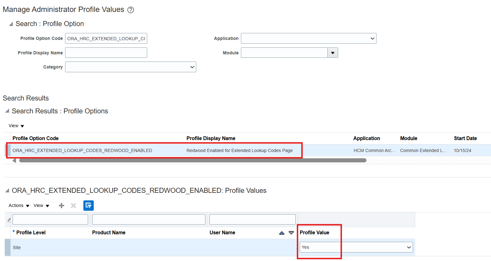 Redwood Extended Lookup Codes Profile Enabled by Default