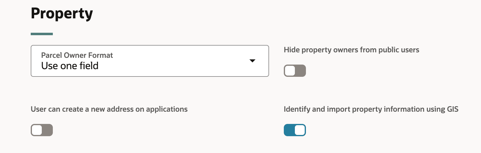 Property section, Agency Options tab