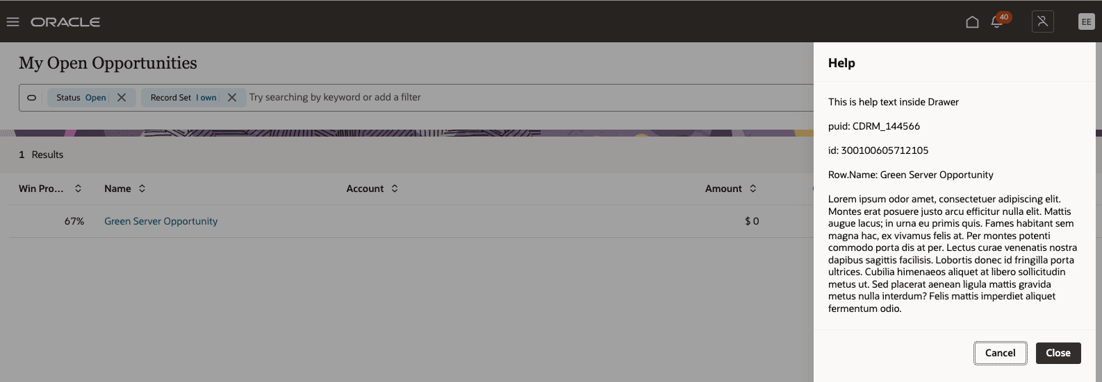 Custom Content In Drawer