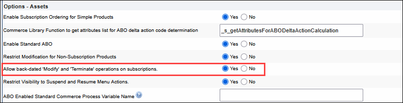 Options - Assets Settings