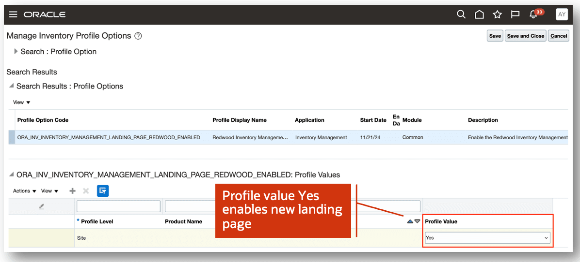 Manage Inventory Profile Options