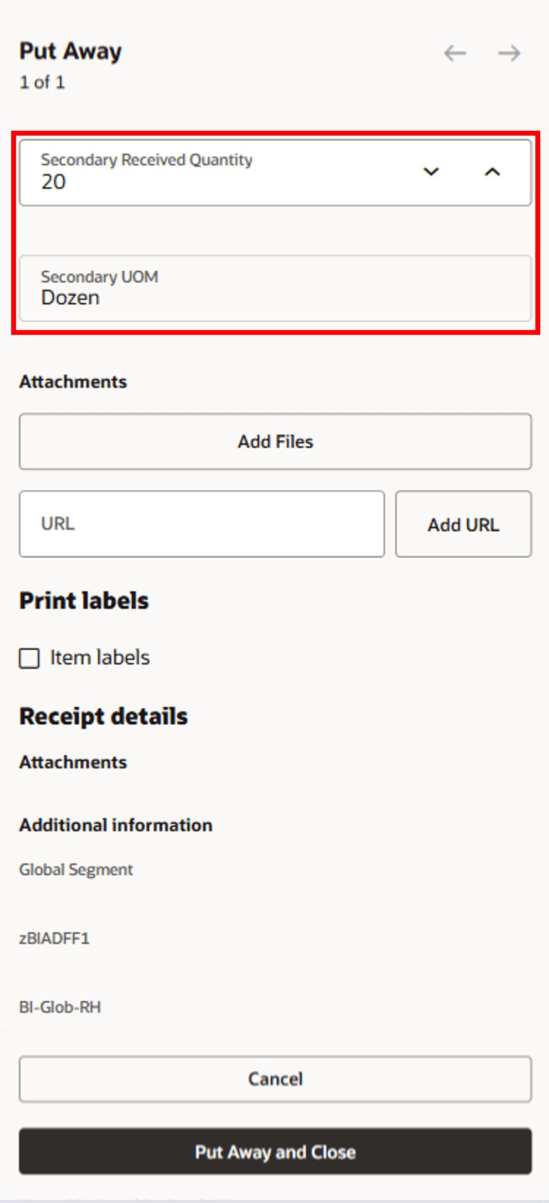Enter Put Away Details - Additional Fields