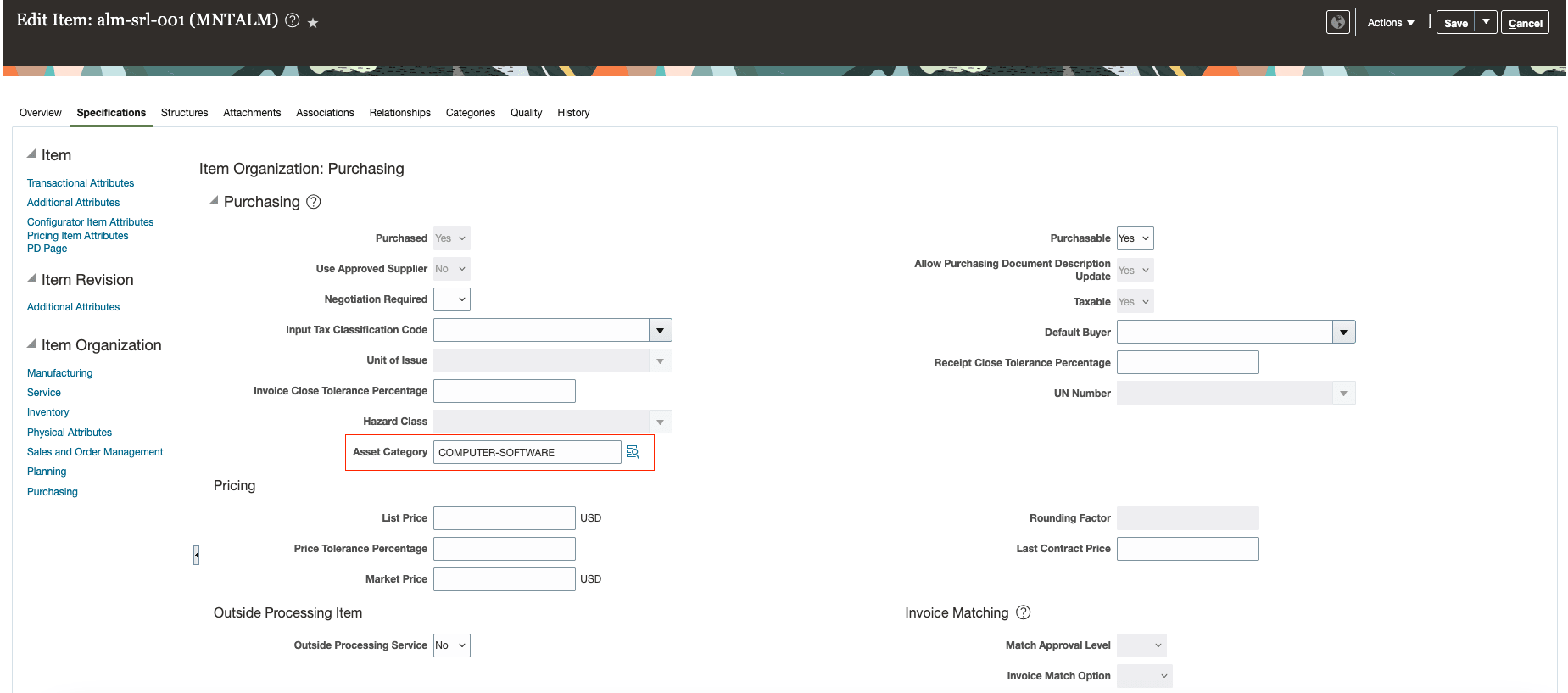 Define asset category for inventory item