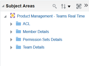 Product Management - Teams Real Time Subject Area