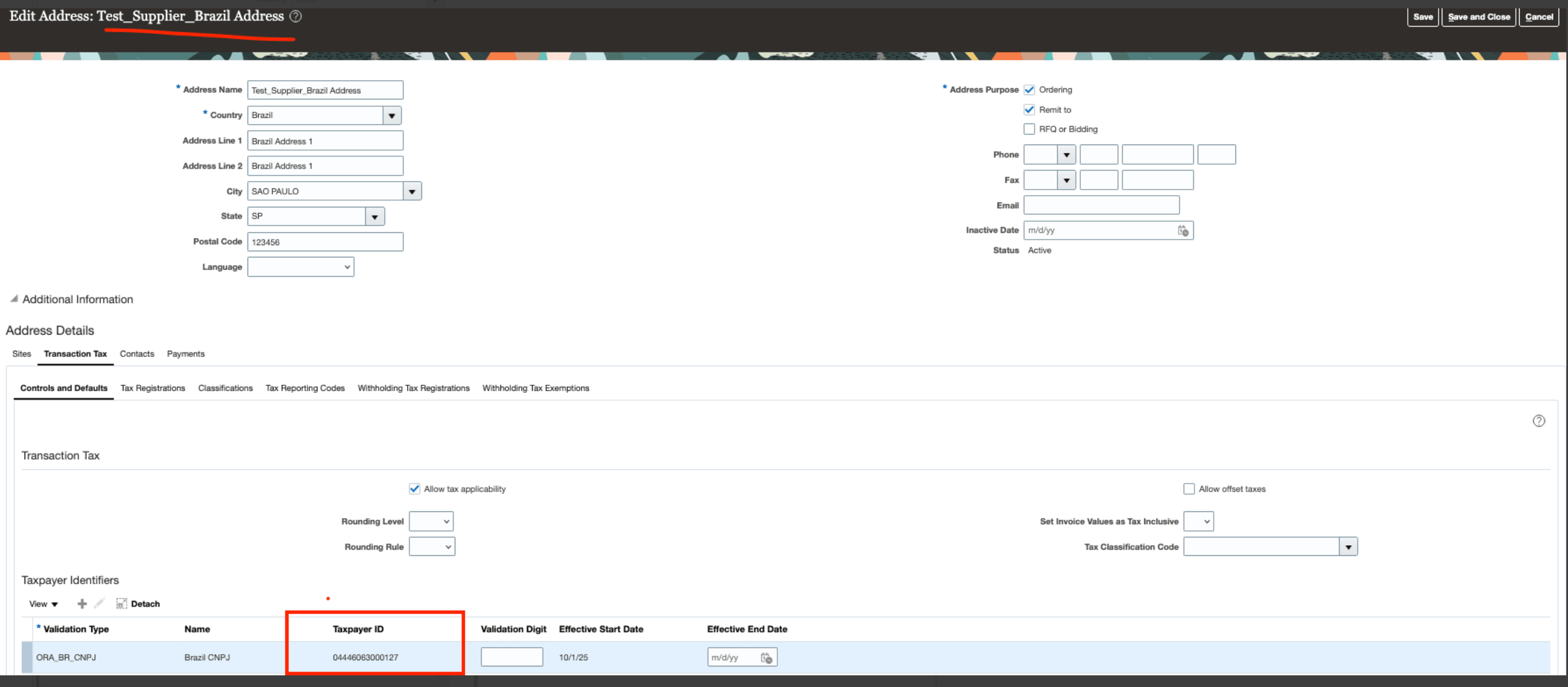 Site configured with address purpose as Ordering, Remit to.