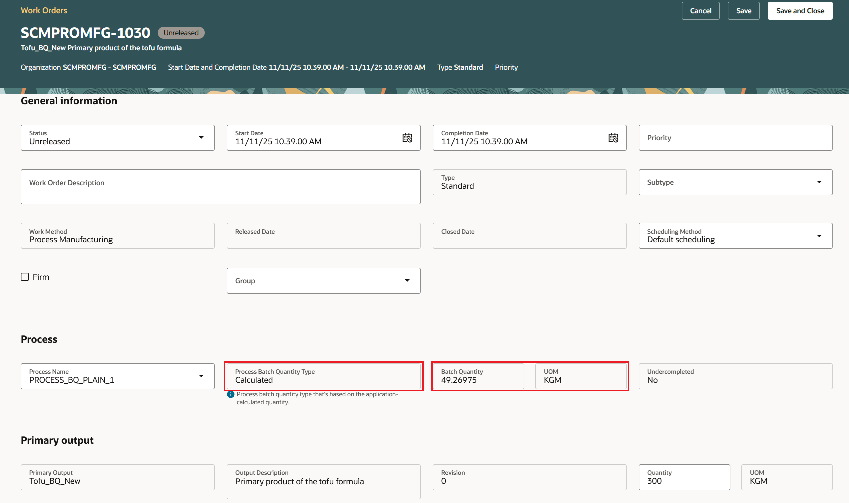 Process Work Order - Header details