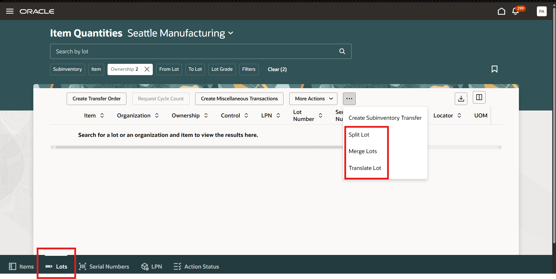 Item Quantities&nbsp;Lot tab