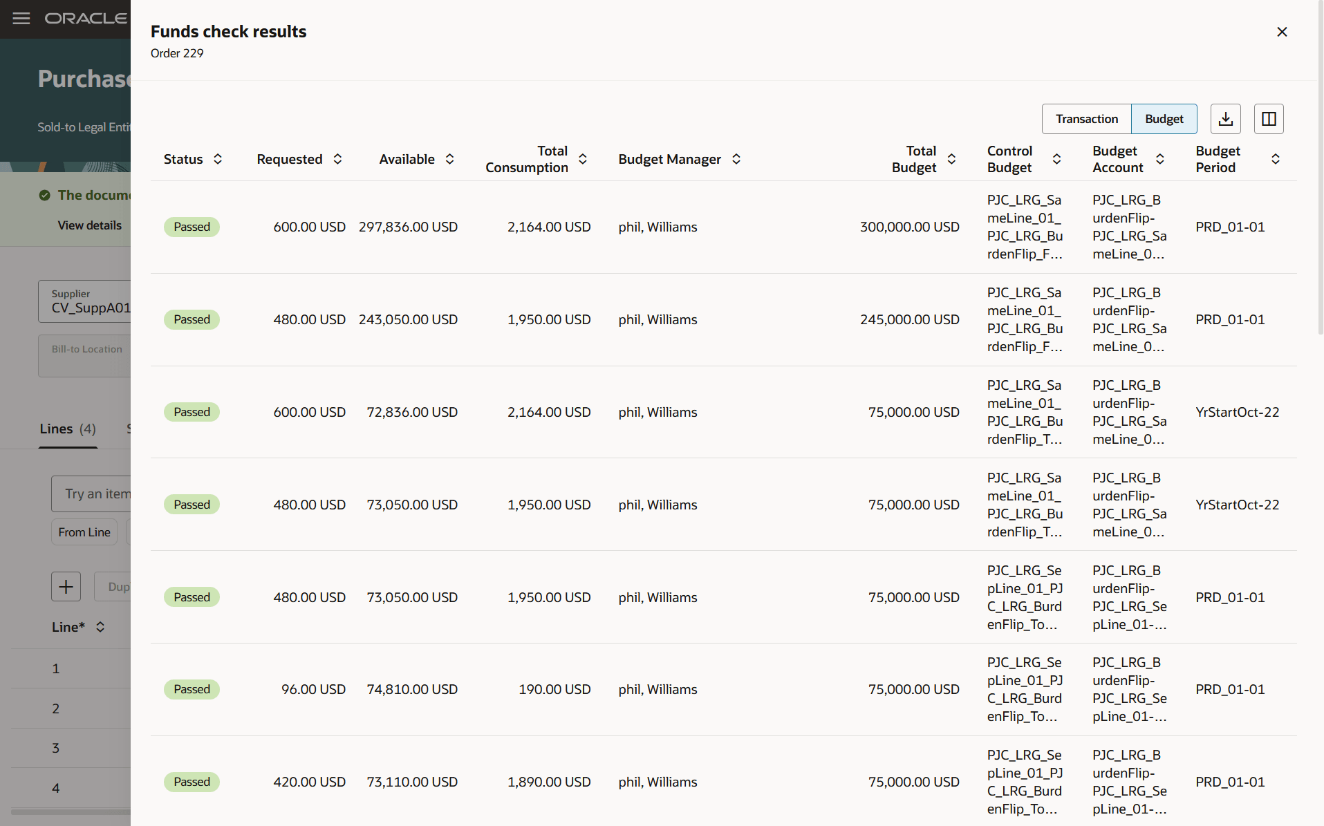 Funds Check Results Budget View