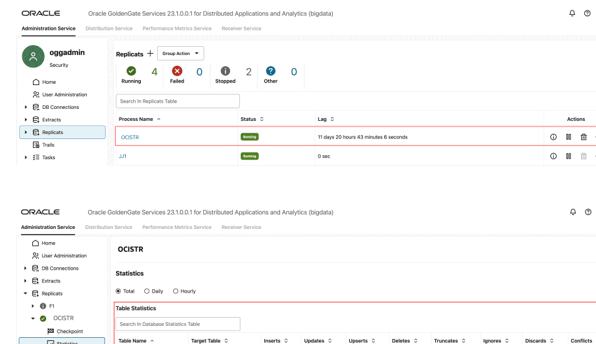 Replicat Statistics Replicat Statistics