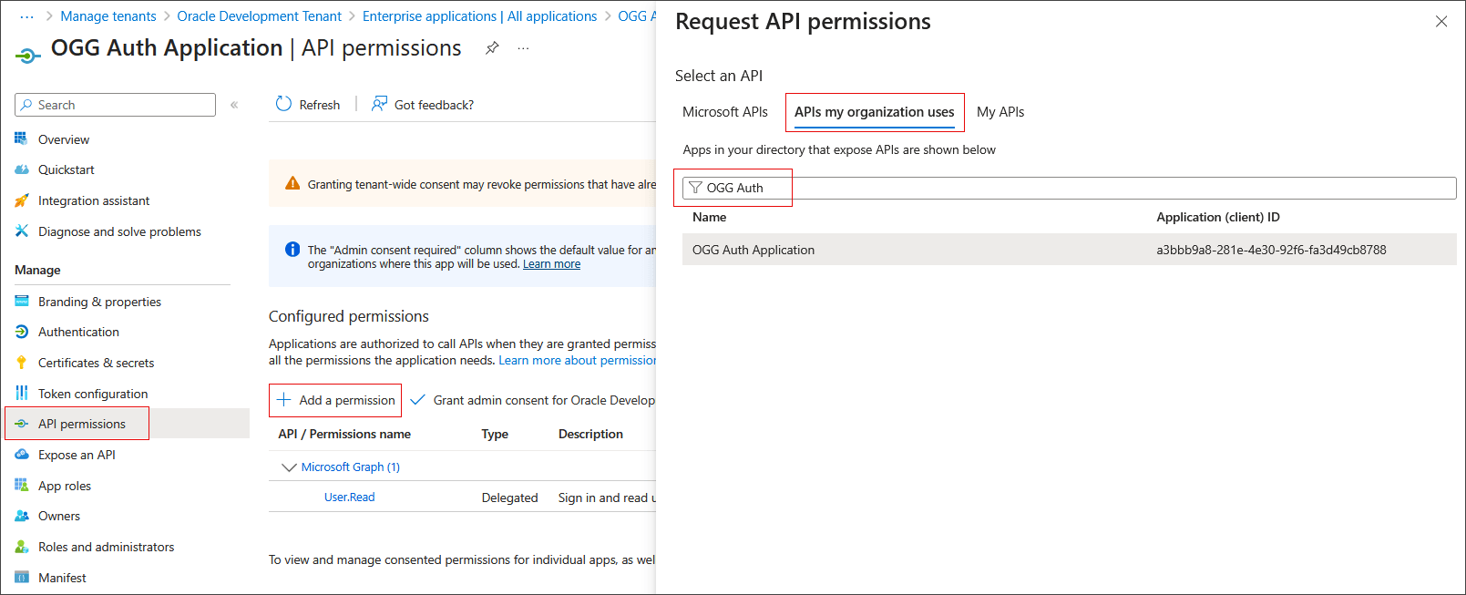 Request API permissions for the application