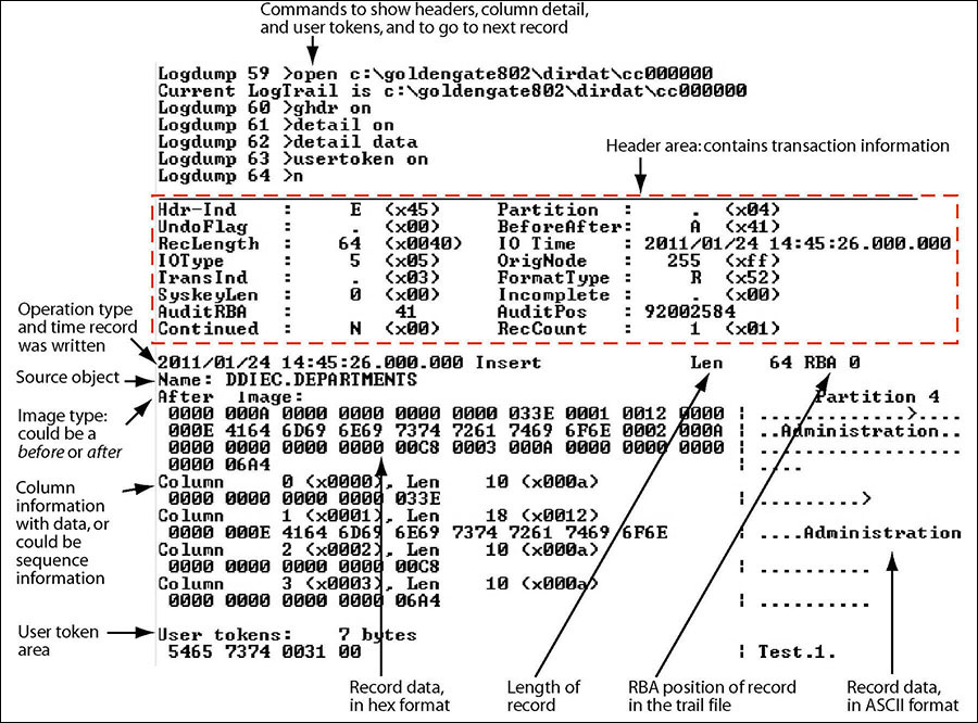 The first portion (the list of fields) is the header and the second portion is the data area. The record looks similar to this on all platforms supported by Oracle GoldenGate.